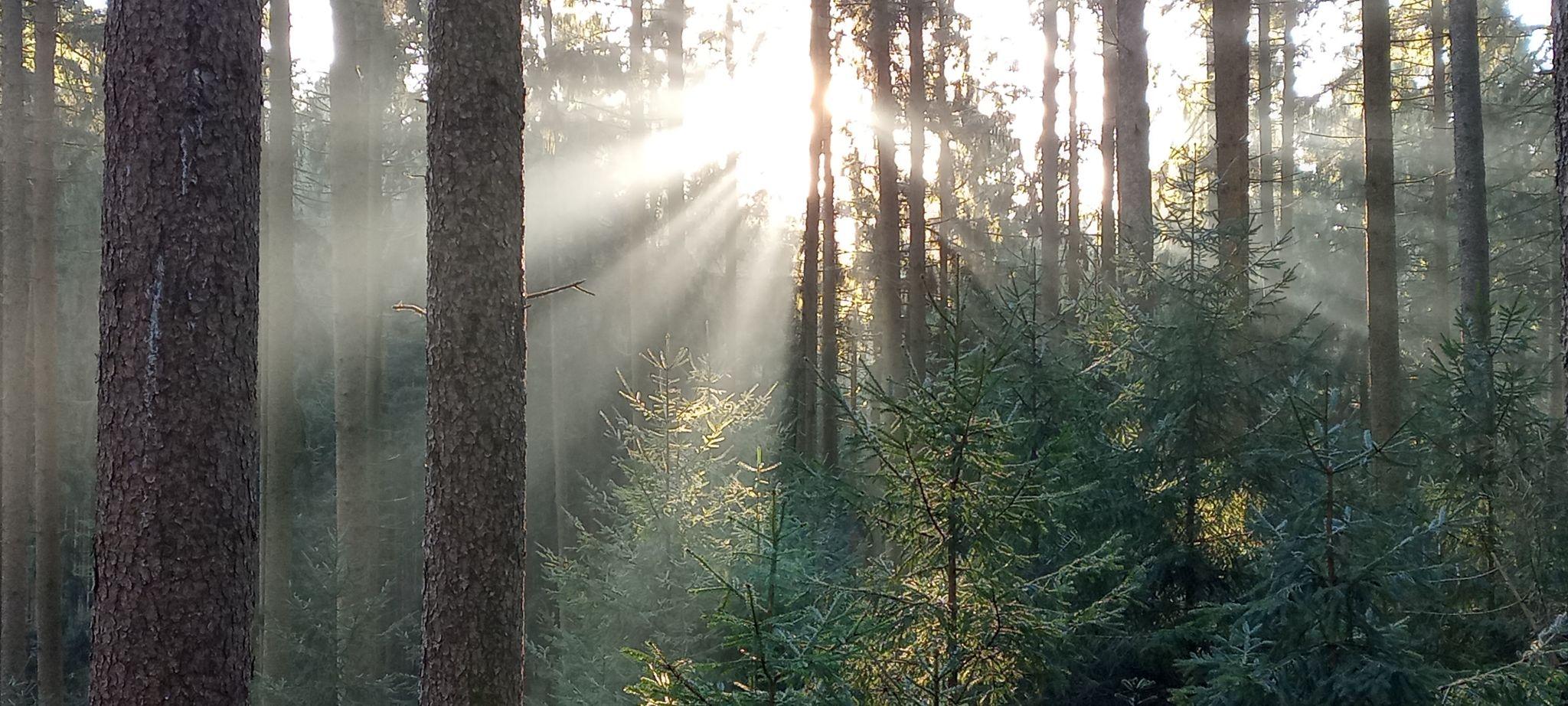 為什麼總是吸引相同的人？關係模式背後的原因