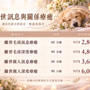 離世親人深度療癒｜90分鐘線上陪伴